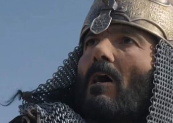 أشجار الزيتون.