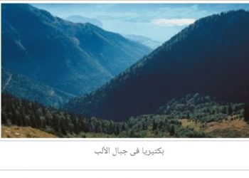 اكتشاف بكتيريا قديمة بجبال الألب عمرها 13 مليون عام  