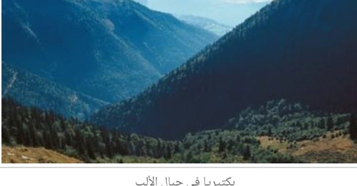 اكتشاف بكتيريا قديمة بجبال الألب عمرها 13 مليون عام