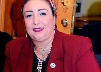 استمرار رحلات الطيران لإعادة العالقين المصريين يؤكد على اهتمام السيسي بسلامة وأمن شعبه