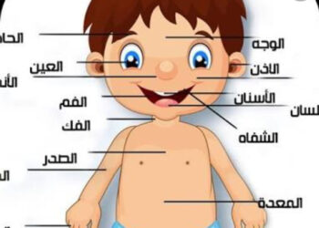المدينه العلميه للطفل اجزاء جسم الإنسان