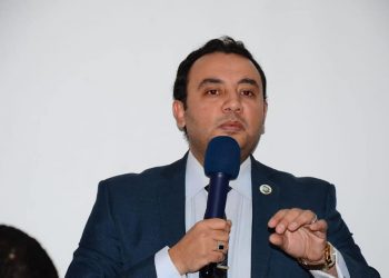 الشهاوي  مصر نجحت في وضع المجتمع الدولي إزاء مسئولياته وحنكة الرئيس قادرة على حسم ملفي ليبيا والنهضة