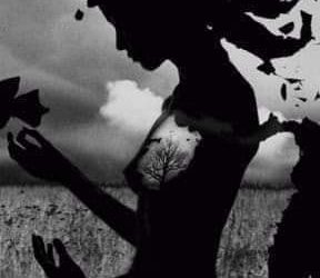 قطرات الندي تهمس اليك….