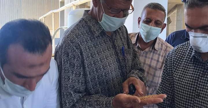 الفيـــــــــوم : ارتفاع حصيلة توريد القمح لصوامع وشون و هناجر الفيوم لأكثر من 125 ألف طن