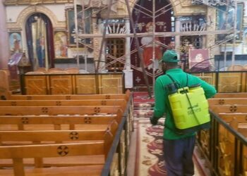 دور الشباب فى دعم الدولة