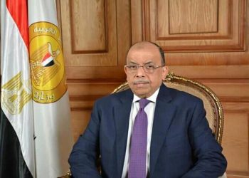 شعراوي” يوجه المحافظات بتنفيذ قرارات مجلس الوزراء لعودة نشاط بعض المنشآت الخدمية بكل حزم