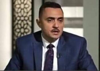 السفير أنور المنشاوي  ٣٠ يونيو استردت الكرامة المصرية والعربية