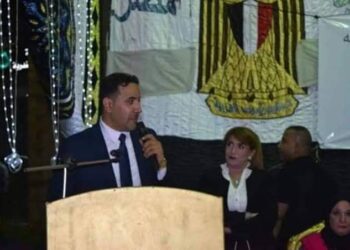 الهواري  ثورة ٣٠ يونيو أنقذت الدولة الوطنية المصرية من السقوط