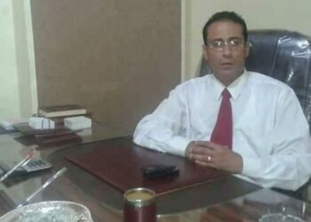 موسي في ذكرى 30 يونية: