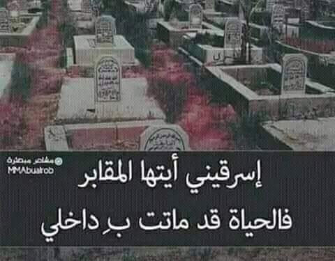 رحله نعيم وجزاء