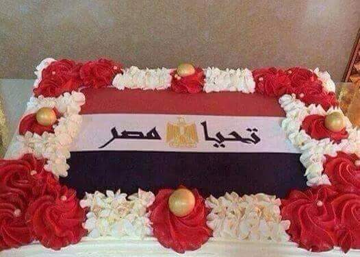 ذكري ثوره ٣٠ يونيه