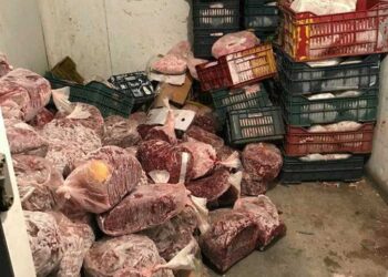 أبوهاشم وشن حملة مكبرة على الغربية وضبط 162 كيلو لحوم فاسدة غير صالحة
