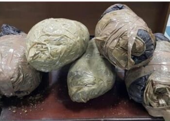 ضبط 30 كيلو بانجو بحوزة سائق قبل ترويجها على عملائه بالشرقية