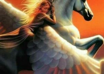 جنوح زرع الجروح ..