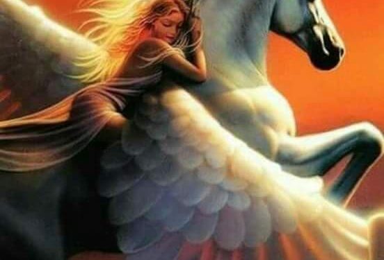 جنوح زرع الجروح ..