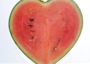 . البطيخة اكسير الحياه……