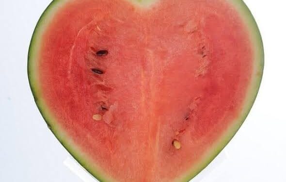 . البطيخة اكسير الحياه……