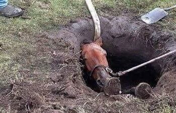 التعليق بذكر الله