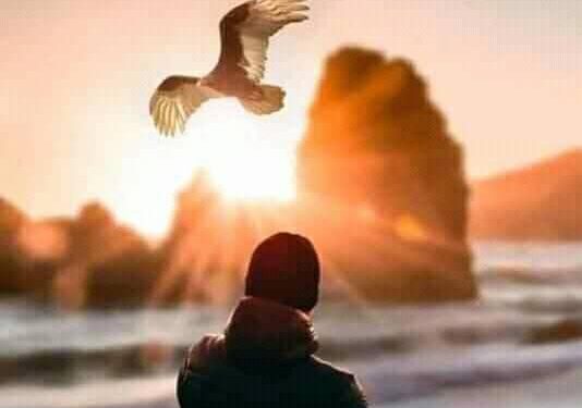 كن قويا ولا تنهزم