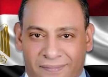 النائب المنتظر وائل صلاح الطنيخي