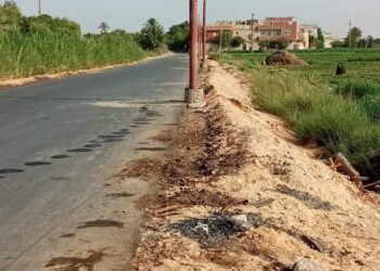 الوحده المحلية بطوخ الخيل تنظم حملات للنظافة  