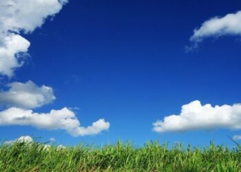 ● يوم العمر !!!