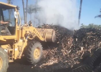 استمرار الحملات لإزالة مكامير الفحم بكفر البطيخ