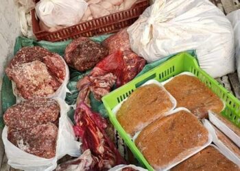 موجز الأنباء