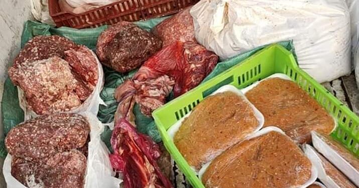 موجز الأنباء