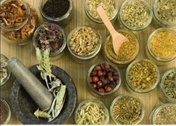 علاج الاسهال والمغص الشديد بالاعشاب :