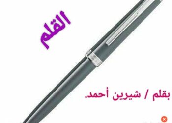 القلم,