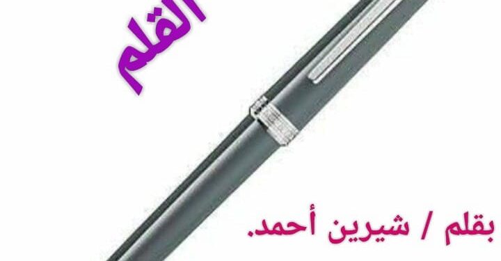 القلم,