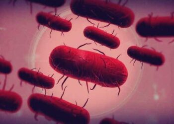 الطاعون الموت الأسود