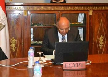 “شكري “يشارك في اجتماع وزراء خارجية ترويكا الاتحاد الإفريقي وروسيا