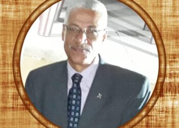 شاطيء النخيل بالاسكندرية ودومات الموت ……