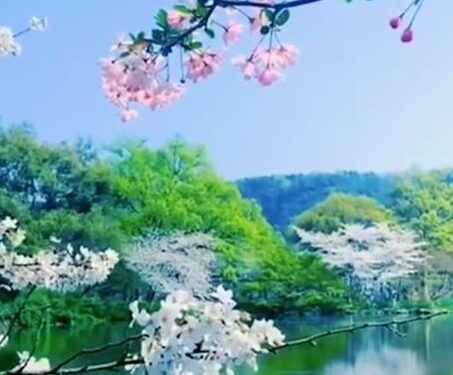 اتقان الكون…