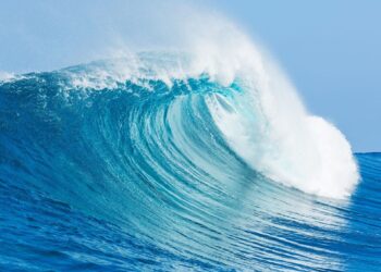 للقلب حبيباً واحد