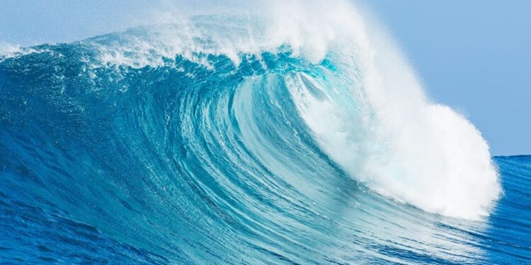 للقلب حبيباً واحد