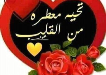 ……………………..لتومض عندكم شهبي …………………