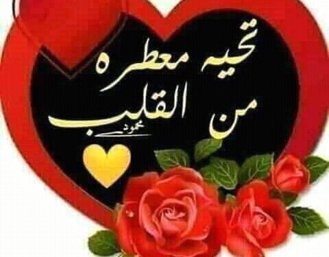 ……………………..لتومض عندكم شهبي …………………