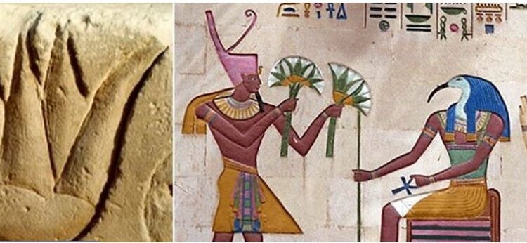 الفلك فى مصر القديمة ( الجزء التاسع )