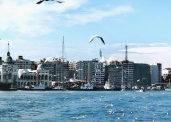 قصيدة_جوه_بلدي_بورسعيد