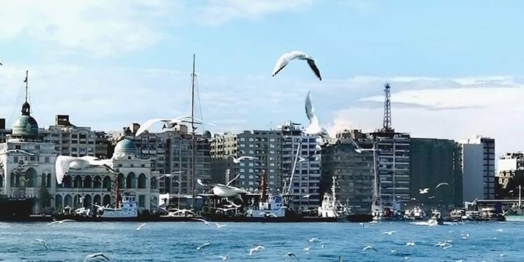 قصيدة_جوه_بلدي_بورسعيد