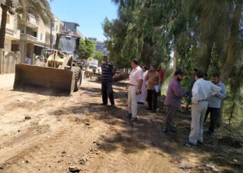  لليوم الثانى على التوالى : تنشيط ورش العمل بالقرى للإرتقاء بالمظهر الحضارى لمداخل القرى