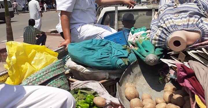 مرافق الغربية والتصدى الحاسم لكل من يخالف القانون ورفع 255حالة أشغال ومخالفات