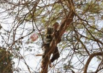 لماذا خلقني إنسان