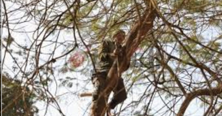 لماذا خلقني إنسان