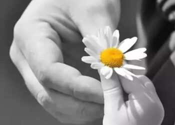 حارس الفضيلة …الشرف