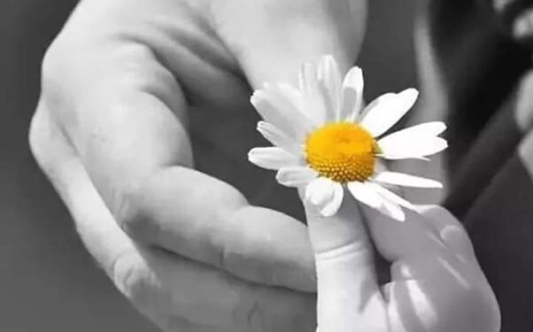 حارس الفضيلة …الشرف