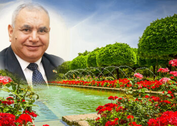 مصر ليست دولة تاريخية ، مصر جائت ثم جاء التاريخ